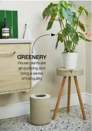  ?? ?? GREENERY
House plants are air-purifying and bring a sense of tranquilli­ty