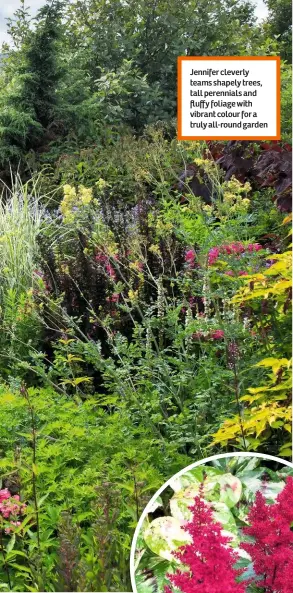  ??  ?? Jennifer cleverly teams shapely trees, tall perennials and fluffy foliage with vibrant colour for a truly all-round garden