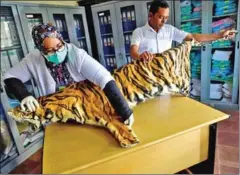  ?? AFP ?? Tigers, thought to number just 22 in Myanmar, appear on the list alongside pangolins, elephants and various species of vulture as well as the Ayeyarwady (Irrawaddy) dolphin, of which only a few dozen remain in the wild in the country.