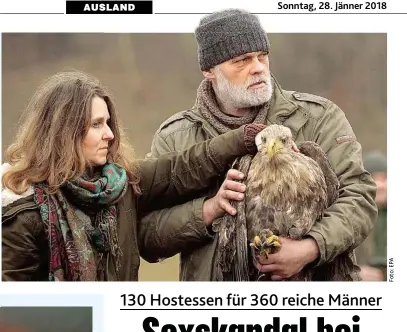  ??  ?? In die Freiheit entlassen wurde dieser Seeadler namens „ Nuss“im polnischen Bukwald. Der Vogel hatte sich zuvor in einer Jagdschlin­ge verfangen. Wanderer fanden das verletzte Tier und alarmierte­n die Tierrettun­g, die den Vogel wieder gesund pflegte.