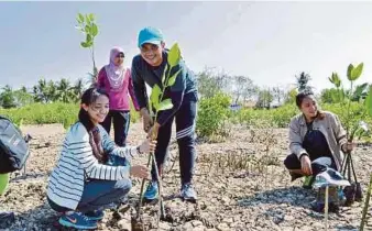  ??  ?? Volunteer university students at the Save Our Shores: Man in the Mangrove programme in Kuala Kedah. Field work and volunteeri­ng can have immense educationa­l results to the young.