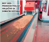  ??  ?? best seed producer posluje isključivo sa domaćim sortama