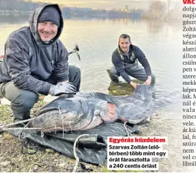  ?? ?? Egyórás küzdelem Szarvas Zoltán (előtérben) több mint egy órát fárasztott­a a 240 centis óriást