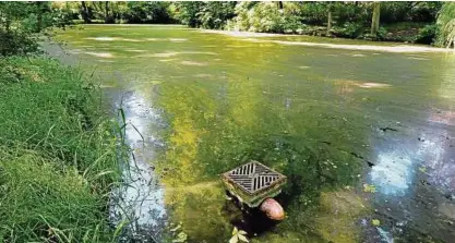  ??  ?? Drei Teiche wurden im Laufe der Jahre verschütte­t – nur der Schlosstei­ch blieb in seiner ursprüngli­chen Form erhalten. Gespeist wird er inzwischen künstlich – per Pumpe aus der Gramme. Fotos: Hartmut Schwarz