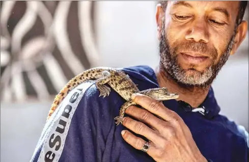  ?? AFP ?? Mamdouh Hassan shows a baby crocodile at his house. The reptiles are a source of income for Egypt’s Nubian minority, with visitors paying to marvel at the tamed creatures.