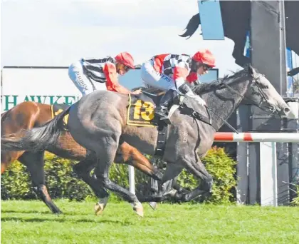  ??  ?? Hastings-trained Tuigirl scores an impressive maiden win over 1600m on her home track last Saturday. The Niagara filly is held in high regard by trainers Guy Lowry and Grant Cullen.