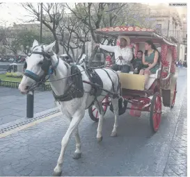  ?? EL INFORMADOR ?? TRADICIÓN. Las calandrias con tracción animal han sido parte de los atractivos del Centro Histórico desde hace un siglo, de acuerdo con el cronista Juan José Doñán.