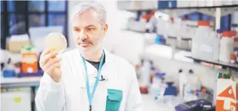  ?? — AFP photo ?? Paul McKay poses for a photograph with bacteria containing fragments of coronaviru­s DNA, at Imperial College School of Medicine in London.