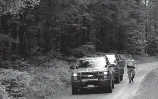  ?? Associated Press ?? ■ Washington State Fish and Wildlife police leave the scene Saturday on a remote King County road near the site of a fatal cougar attack in East King County, Wash. The last fatality was in 1924, when a cougar ambushed a teenage boy near his home in...