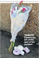  ??  ?? TRIBUTE Flowers are left at the spot of the accident