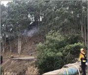  ?? PHOTOS BY ANGELA RUGGIERO ?? Cal Fire crews were working on monitoring eucalyptus trees smoking Thursday morning as a resulf of the Grizzly Peak fire in the Oakland and Berkeley hills on Thursday.