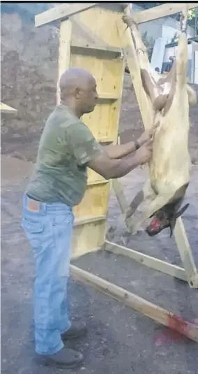  ??  ?? Butcher Tony from St Elizabeth de-skins a goat that was killed for the customary constructi­on ritual and feast at 118 Mountain View Avenue in St Andrew.