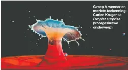  ?? ?? Groep A-wenner en meriete-toekenning: Carien Kruger se Droplet surprise (voorgeskre­we onderwerp).