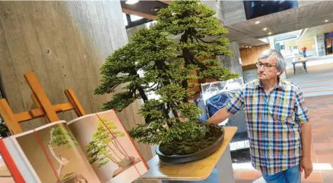  ?? Fotos: Michael Hochgemuth ?? Am Freitag startet die Europäisch­e Bonsai‰Ausstellun­g. Hier zu sehen: Organisato­r Harald Lehner mit einer etwa 200 Jahre alten Ajan‰Fichte.