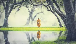  ?? PHOTO: GETTY IMAGES ?? Peace and reflection . . . A monk walks in a forest next to a pond.