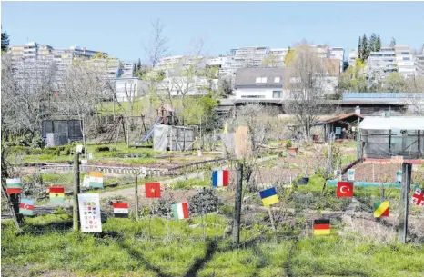  ?? FOTOS: SIMONE HAEFELE ?? Bunte Flaggen und Sprechblas­en in verschiede­nen Farben zieren den interkultu­rellen Garten im Hirschbach­tal in Aalen.