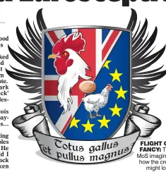  ??  ?? FLIGHT OF FANCY: The MoS imagines how the crest might look