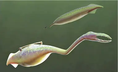 ?? PICTURE: REUTERS ?? WEIRD CREATURE: An artist’s reconstruc­tion shows the Tully Monster, a type of jawless fish called a lamprey, as it would have looked more than 300 million years ago in this image released this week.