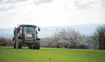  ?? Foto: Sebastian Gollnow, dpa (Symbolbild) ?? Die extremen Wetterbedi­ngungen machen Bio‰Landwirten im Wittelsbac­her Land in diesem Jahr zu schaffen. Vor allem der Kar‰ toffelanba­u gestaltet sich schwierig.