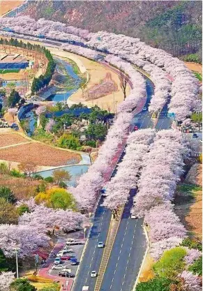  ??  ?? From the buzzing city of Seoul to the idyllic countrysid­e of Jeju Island, South Korea never fails to amaze travellers.