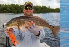  ??  ?? Estero Bay was designated Florida’s first aquatic preserve in 1966.