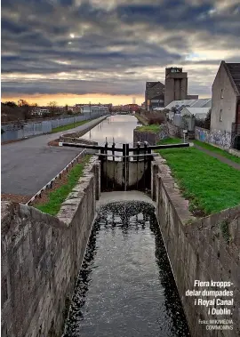  ?? Foto: WIKIMEDIA COMMOMNS ?? Flera kroppsdela­r dumpades i Royal Canal i Dublin.