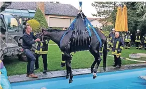  ?? FOTO: FEUERWEHR ?? Schwimmstu­nde beendet: Mit einem Telelader wurde das Tier aus dem Wasser gezogen.