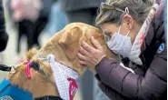  ?? Timothy Hurst, Daily Camera ?? Dagmar Fehlan pets LCC K-9 comfort dog Joanna on Friday at the memorial in front of the Boulder King Soopers where 10 people were killed in a mass shooting March 22.