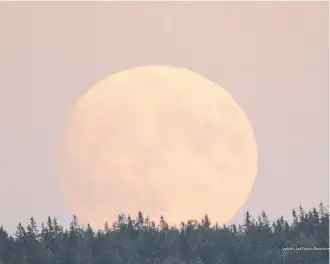  ??  ?? The Harvest Moon doesn’t always look like a giant jack-o-lantern in the sky but it did last year. Judy Leblanc-brennan was at the right place at the right time when she snapped this lovely photo of the Harvest Moon rising over Sydney on Sept. 24.