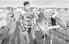  ?? — Gambar Bernama ?? KEPUASAN: Wan Haiman Rusdan bersama burung kakaktua miliknya spesies Red Winged Macaw yang diberi nama Phoenix (tengah) ketika ditemui pemberita di Kampung Seribong dekat Kota Bharu, Kelantan, semalam.