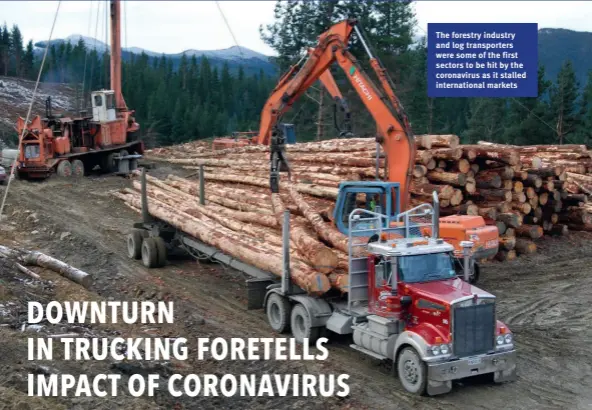  ??  ?? The forestry industry and log transporte­rs were some of the first sectors to be hit by the coronaviru­s as it stalled internatio­nal markets