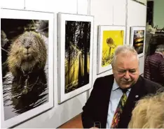  ?? Foto: Marion Kehlenbach ?? Museumslei­ter Günther Groß bringt mit der Kleinen Galerie im Naturmuseu­m einen weiteren kulturelle­n Treffpunkt in die Brunnensta­dt.