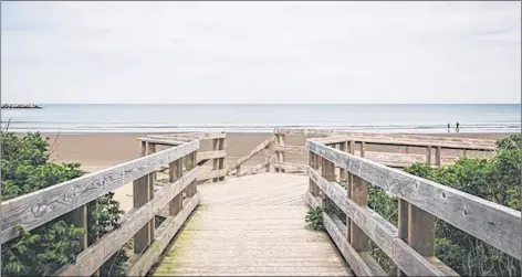  ??  ?? Port Maitland Beach and Mavillette Beach have remained closed to swimmers since Aug. 13 due to a high bacteria count.