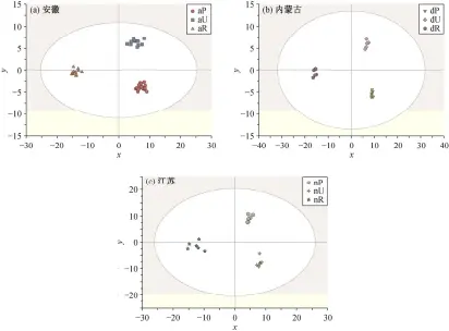  ??  ?? 图 4 O2PLS-DA 对同一地区成熟蜜、非成熟蜜和加工蜜分组­的得分图Fig. 4 O2PLS-DA grouping score plots of ripe, unripe and processed rape honey from same region