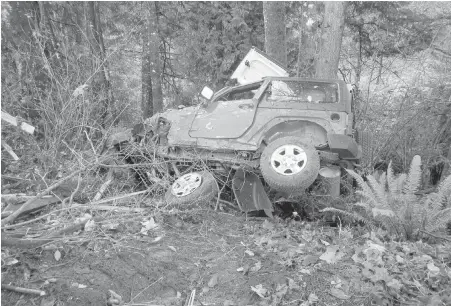  ?? SUBMITTED ?? The wreckage of a Jeep Wrangler lies in a ravine off the 5800 block of Sooke Road, near Woodlands Road.