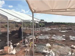  ?? FORT BEND INDEPENDEN­T SCHOOL DISTRICT ?? The graves of 95 African-American convict laborers were found on a constructi­on site in Sugar Land, Texas.