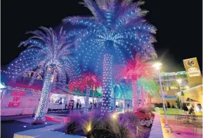  ?? JOE BURBANK/ORLANDO SENTINEL ?? Palm trees are lit Friday at the Light Up UCF holiday festival at the UCF. The event features ice skating, a holiday light show, free holiday movies, live entertainm­ent, a Light Up Express kids’ train and other rides. It runs through Jan. 1.