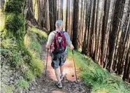  ?? Peter Hartlaub/The Chronicle ?? Gee Heckscher, 84, hikes the Dipsea. He finished a quad Dipsea — covering the trail four times — at 60.