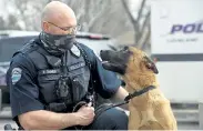  ?? Jenny Sparks, Reporter-Herald ?? Styng, one of the Loveland police’s new K-9 members, looks up at his handler, Officer Rob Croner, on Wednesday outside the Loveland Police and Courts Building.