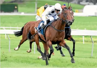  ?? PHOTO: RACE IMAGES ?? Honey Rider winning at Taupo yesterday.