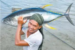  ??  ?? A FISHERMAN beams with the bounty of the sea — a yellowfin tuna — which WWF works to conserve through a vigorous fisheries improvemen­t drive.