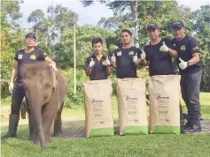  ??  ?? One tonne of milk powder donated by Fonterra for the rescued baby elephants in Sepilok.