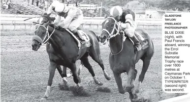  ?? GLADSTONE TAYLOR/ FREELANCE PHOTOGRAPH­ER ?? BLUE DIXIE (right), with Paul Francis aboard, winning the Errol Subratie Memorial Trophy race over 1600 metres at Caymanas Park on October 1. TYPEWRITER (second right) was second.