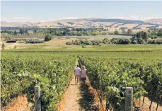  ??  ?? WaiparaVal­ley in North Canterbury is home to more than 90 world-class wineries.