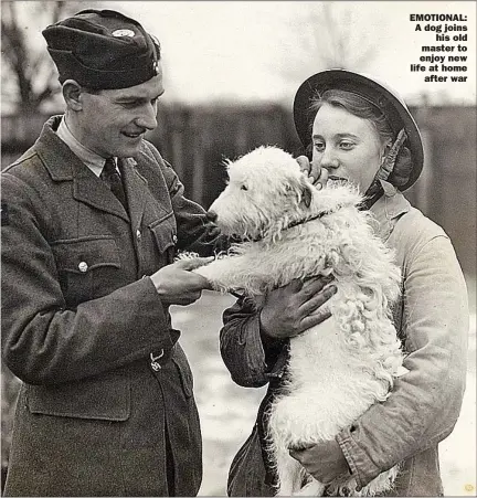  ??  ?? EMOTIONAL: A dog joins his old master to enjoy new life at home after war