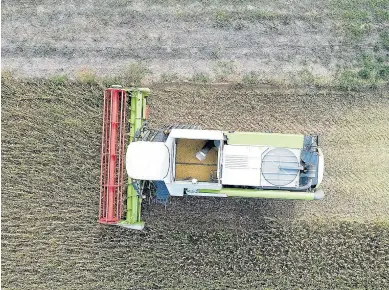  ?? RED ARAX ?? La soja es uno de los nuevos cultivos que ensaya la Red Arax en las tierras aragonesas.