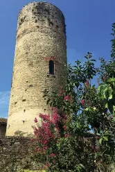  ?? Foto: L. Bergamin) ?? Alture in
pietra A destra, la grande torre della cinta muraria; in basso, una veduta di Castiglion­e Falletto (