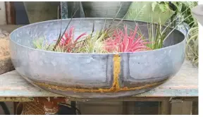  ??  ?? Zinc bowl Sold in a pair for a co-ordinated look. You could fill one with water and plant the other up for extra interest. £44.95 for two, notonthe highstreet.com