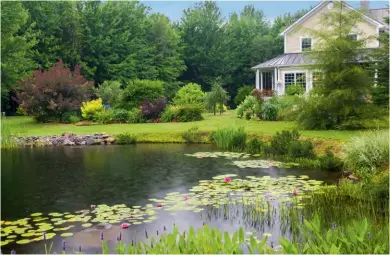  ??  ?? BELOW, RIGHT The stunning swimming pond adds the essential pastoral aspect so key in English gardens.