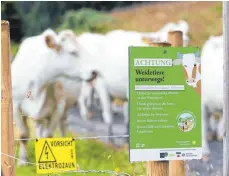  ?? FOTO: PHILIPP VON DITFURTH/DPA ?? Ein Schild mit der Aufschrift „ACHTUNG Weidetiere unterwegs!“weist auf die Verhaltens­regeln innerhalb der durchwande­rbaren Weidefläch­en hin, während im Hintergrun­d Rinder zu sehen sind.
